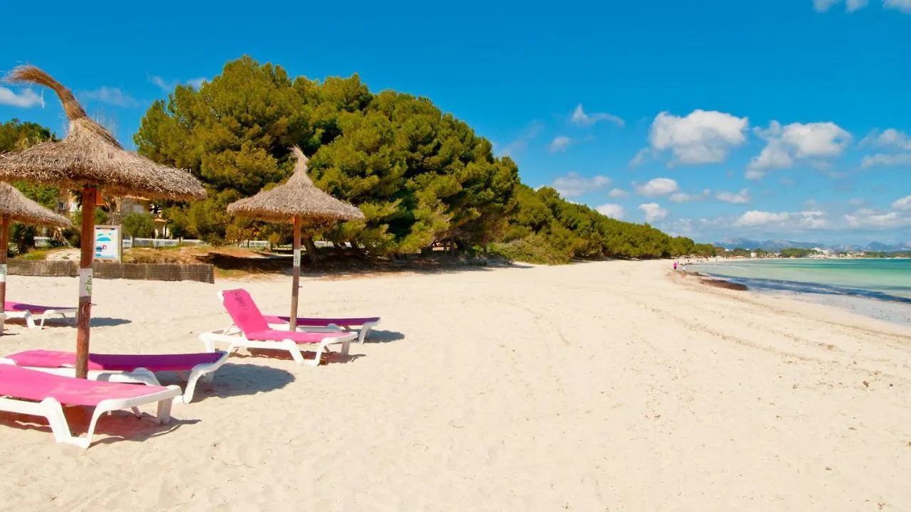 Sa Marina / Sa Marina 7A Villa Alcudia  Alcudia (Mallorca)